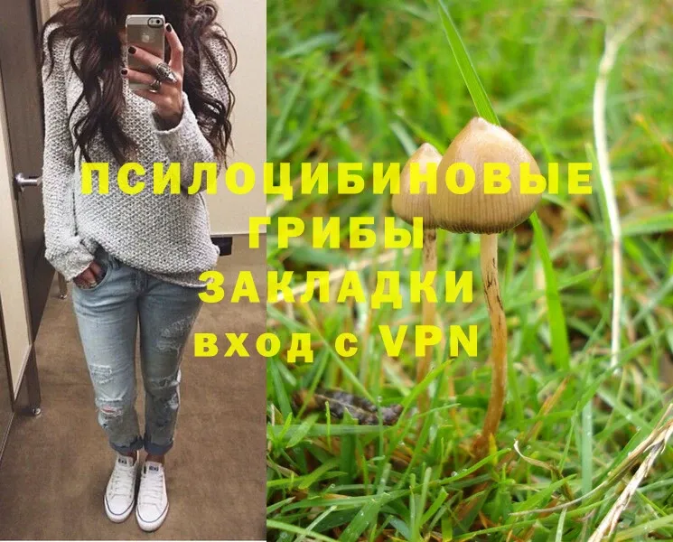 Галлюциногенные грибы Psilocybe  сайты даркнета наркотические препараты  Вольск  блэк спрут маркетплейс 